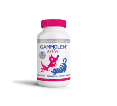 Gammolen active 90 tabletek
