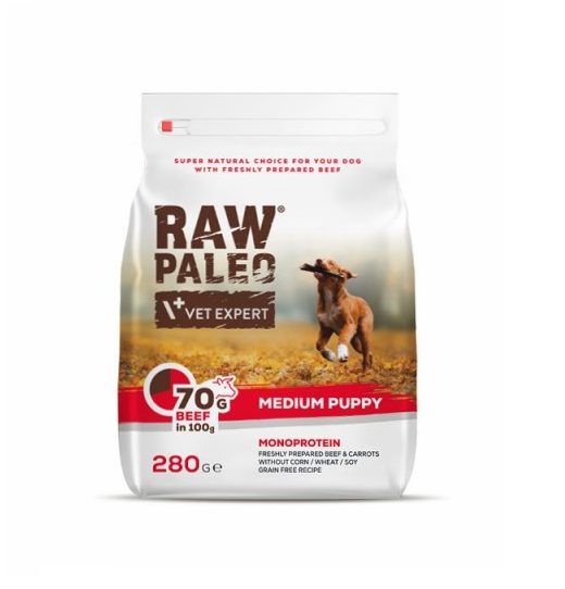 Raw Paleo Medium Puppy Beef 280g