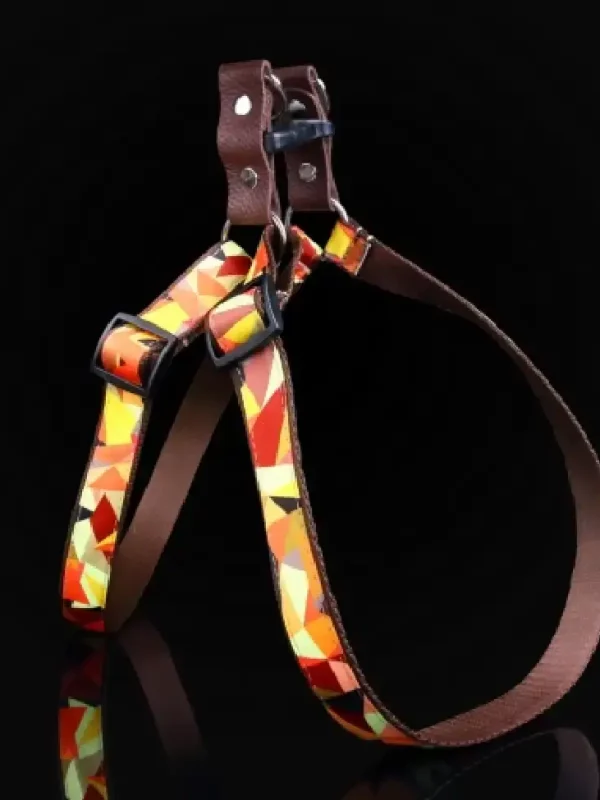 Szelki jesień  taśma 16mm/40-60cm