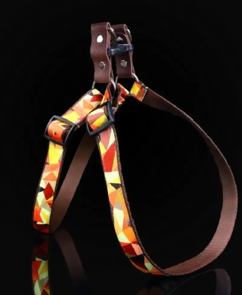 Szelki jesień  taśma 16mm/40-60cm