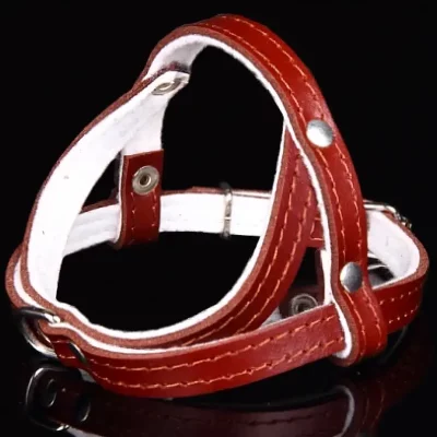 Szelki skóra 14cm czerwone