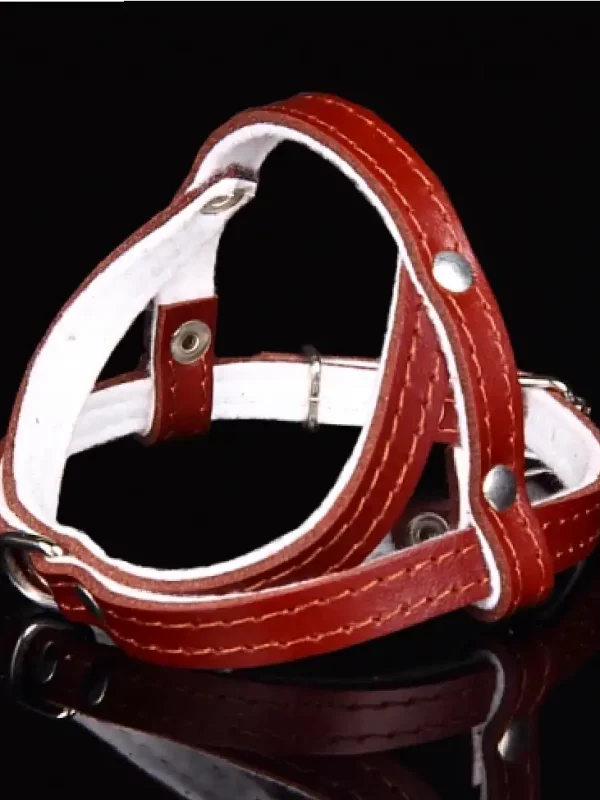 Szelki skóra 14cm czerwone