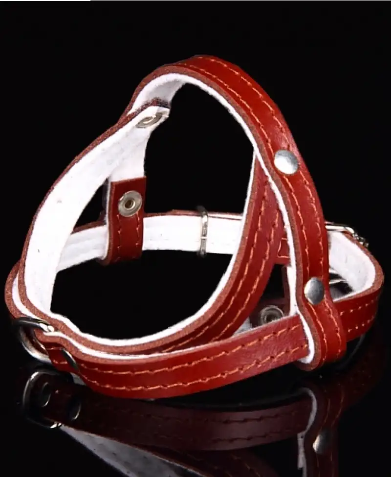 Szelki skóra 14cm czerwone