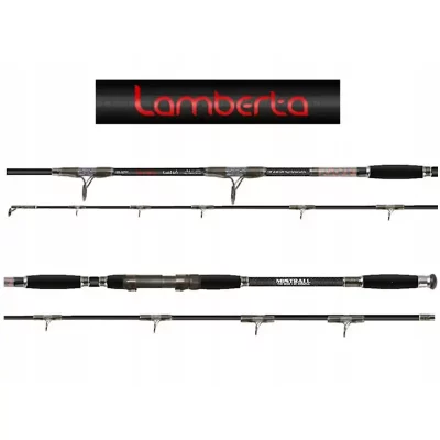 Wędka Lamberta Cat Fish 3,15m EX HEVY