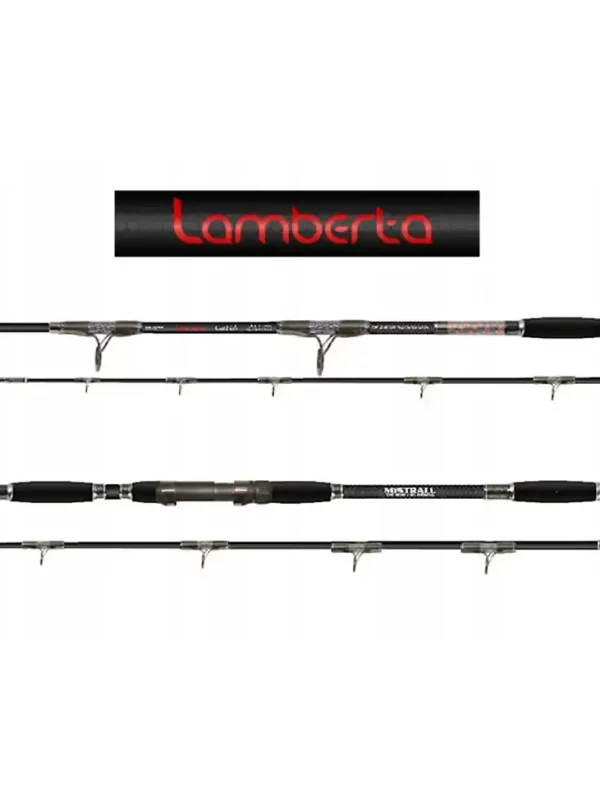 Wędka Lamberta Cat Fish 3,15m EX HEVY