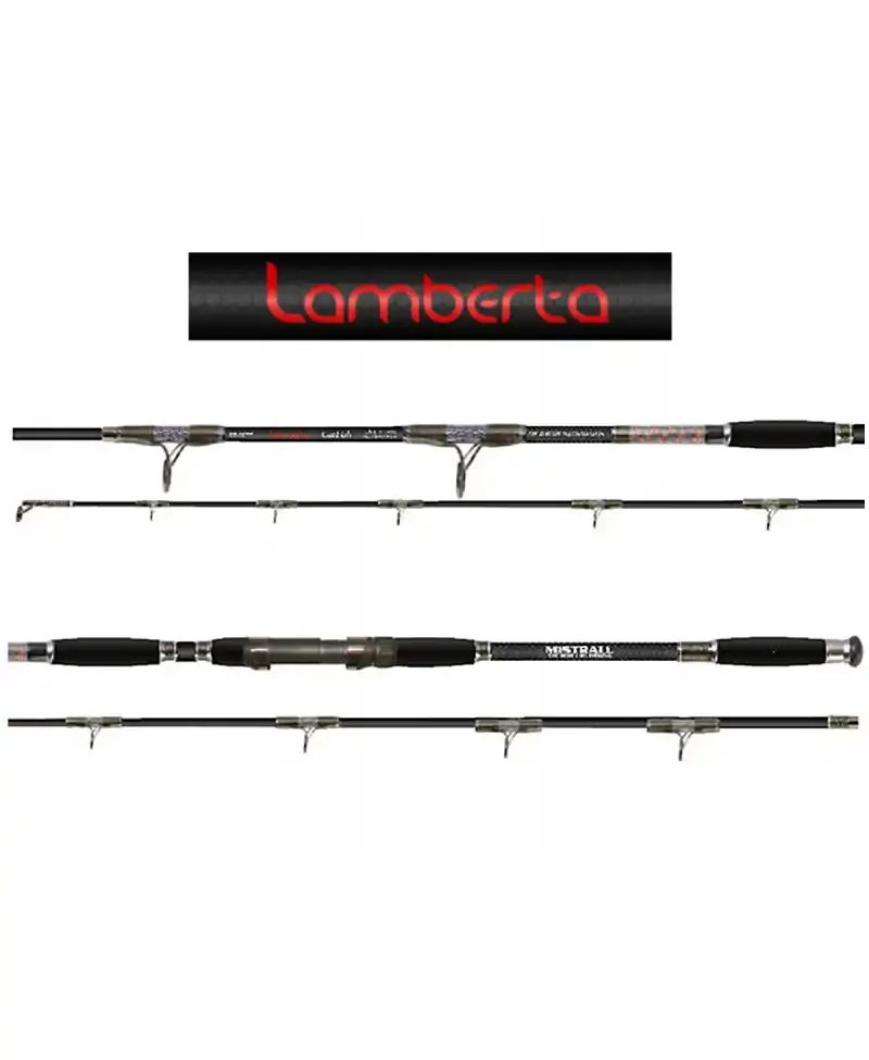 Wędka Lamberta Cat Fish 3,15m EX HEVY