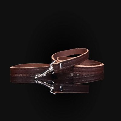 Zooleszcz Smycz skórzana 10mm/120cm brązowa