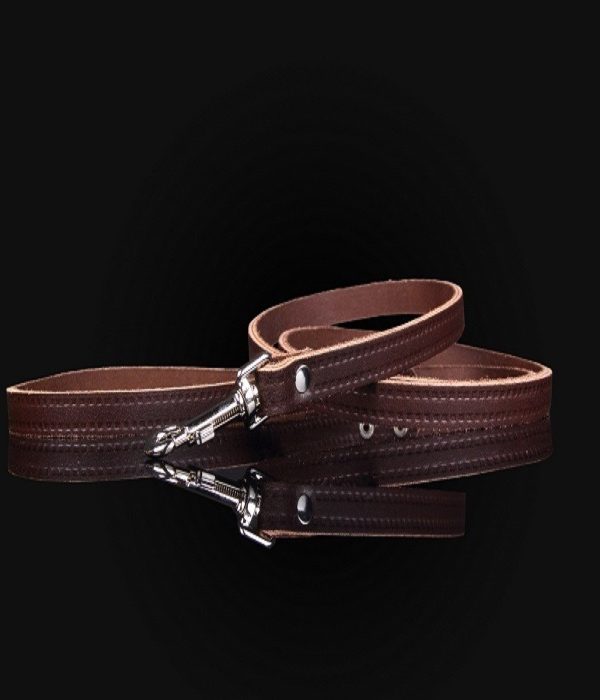 Zooleszcz Smycz skórzana 10mm/120cm brązowa