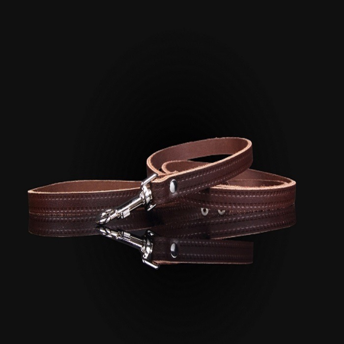 Zooleszcz Smycz skórzana 10mm/120cm brązowa