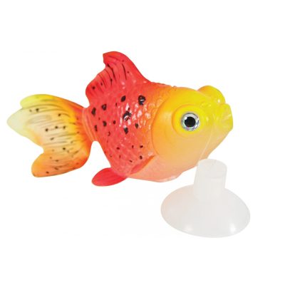 ZOLUX  SweetyFish Phospho Rybka Pearl