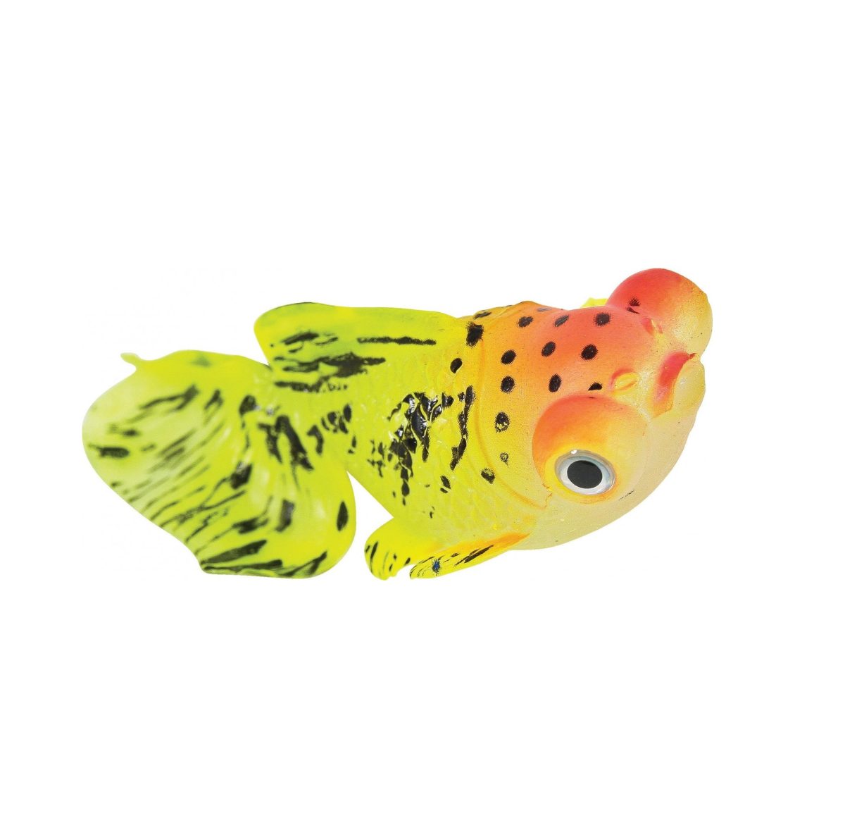 ZOLUX SweetyFish Phospho Rybka Butterfly