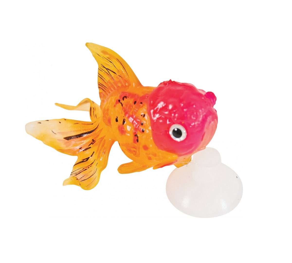 ZOLUX SweetyFish Phospho Rybka Lionhead