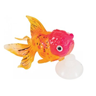 ZOLUX SweetyFish Phospho Rybka Lionhead