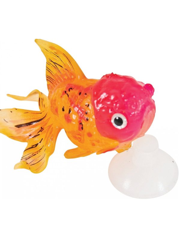 ZOLUX SweetyFish Phospho Rybka Lionhead