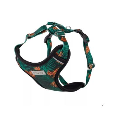 AMIPLAY SZELKI DISCOVERY BE HAPPY M JUNGLE