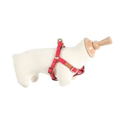 ZOLUX Szelki IMAO MAYFAIR 20 mm kol. czerwony