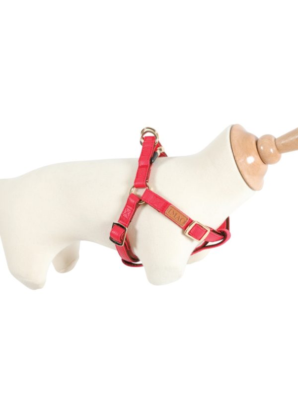 ZOLUX Szelki IMAO MAYFAIR 20 mm kol. czerwony