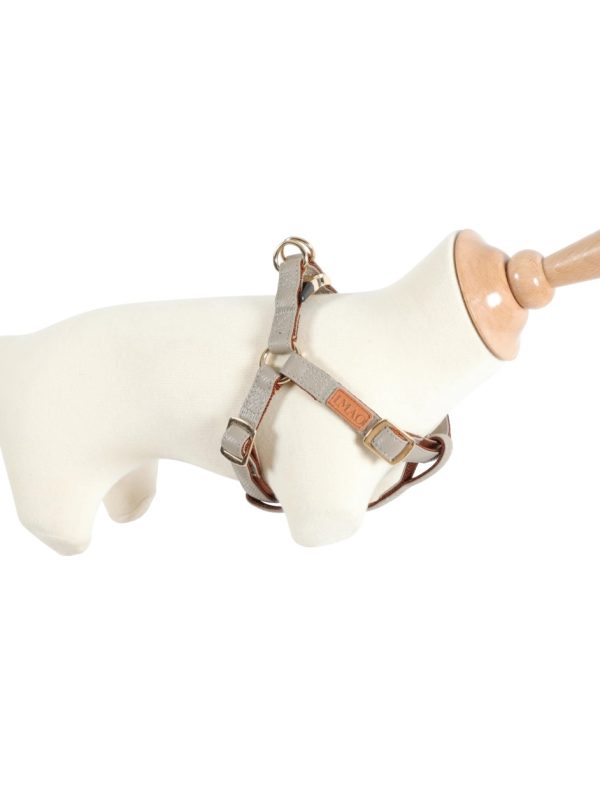 ZOLUX Szelki IMAO MAYFAIR 20 mm kol. szary