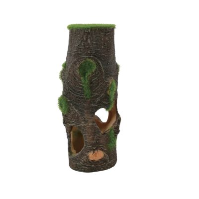 ZOLUX  KIPOUSS pień M- z nasionami żywych roślin