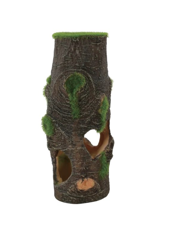 ZOLUX  KIPOUSS pień M- z nasionami żywych roślin