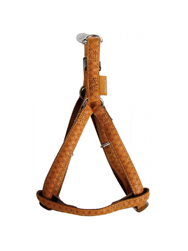 jusmar.eu_-35-7.jpg ZOLUX Szelki regulowane Mac Leather 10mm kol. żółty