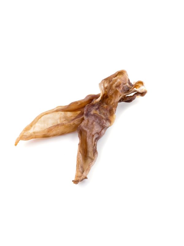 Maced Ucho Królicze 10szt