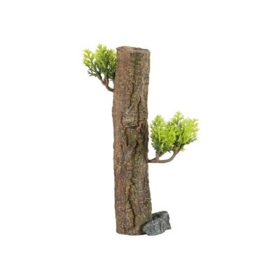 ZOLUX Dekoracja akwarystyczna FOREST XS