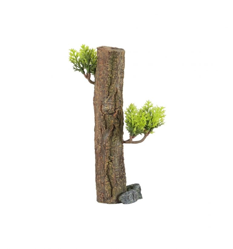 ZOLUX Dekoracja akwarystyczna FOREST XS