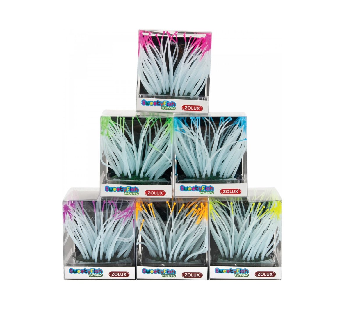 ZOLUX Dekoracja akwarystyczna SweetyFish Phospho Anemone
