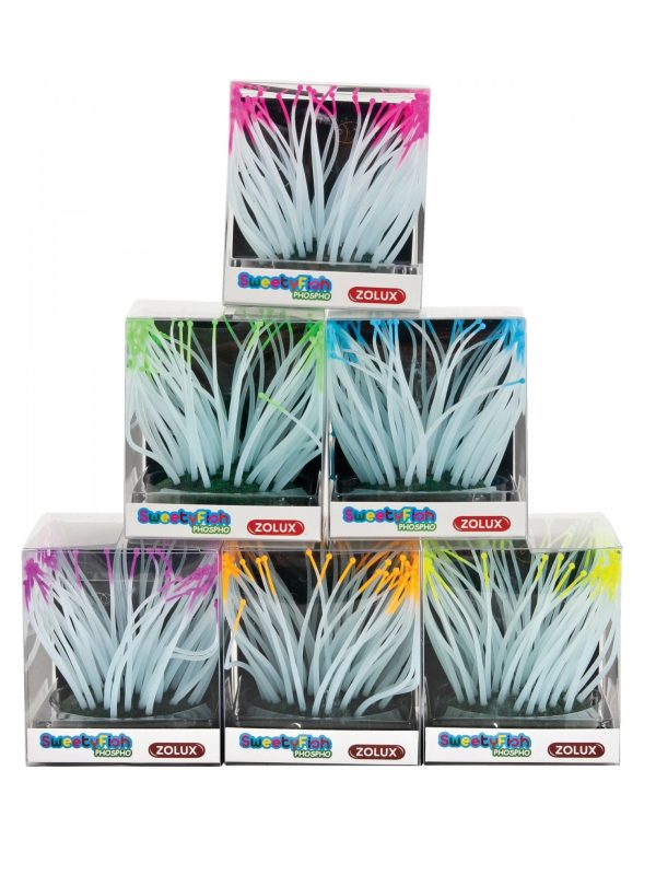 ZOLUX Dekoracja akwarystyczna SweetyFish Phospho Anemone