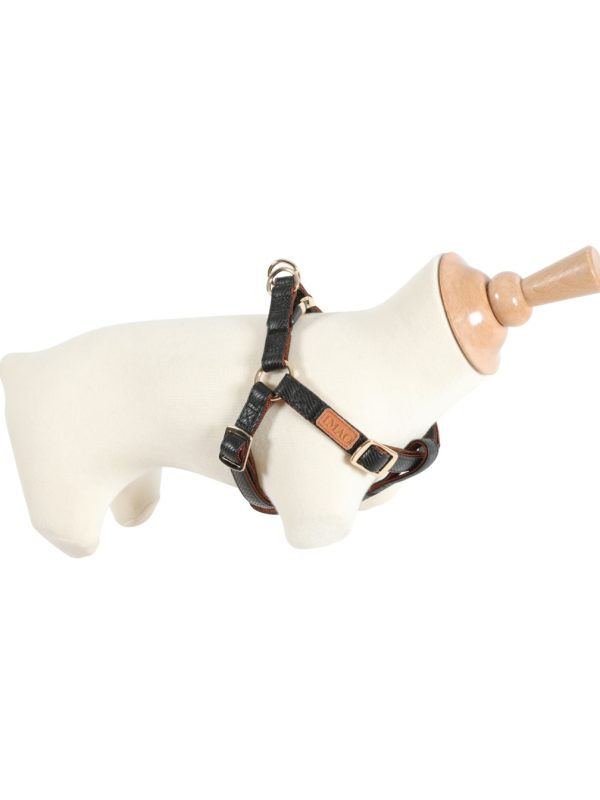 ZOLUX Szelki IMAO MAYFAIR 20 mm kol. czarny