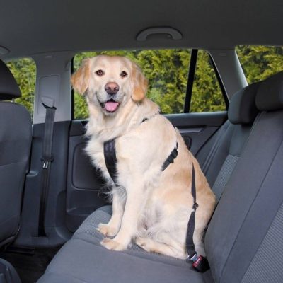 Szelki samochodowe L