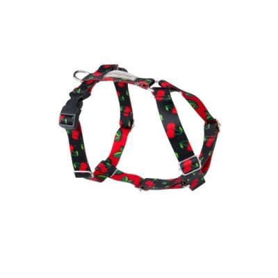 AMIPLAY Szelki Guard Be Happy Cherry S