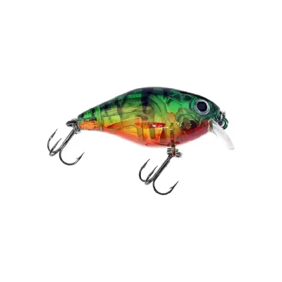 Dragon Wobler EG-164(F)