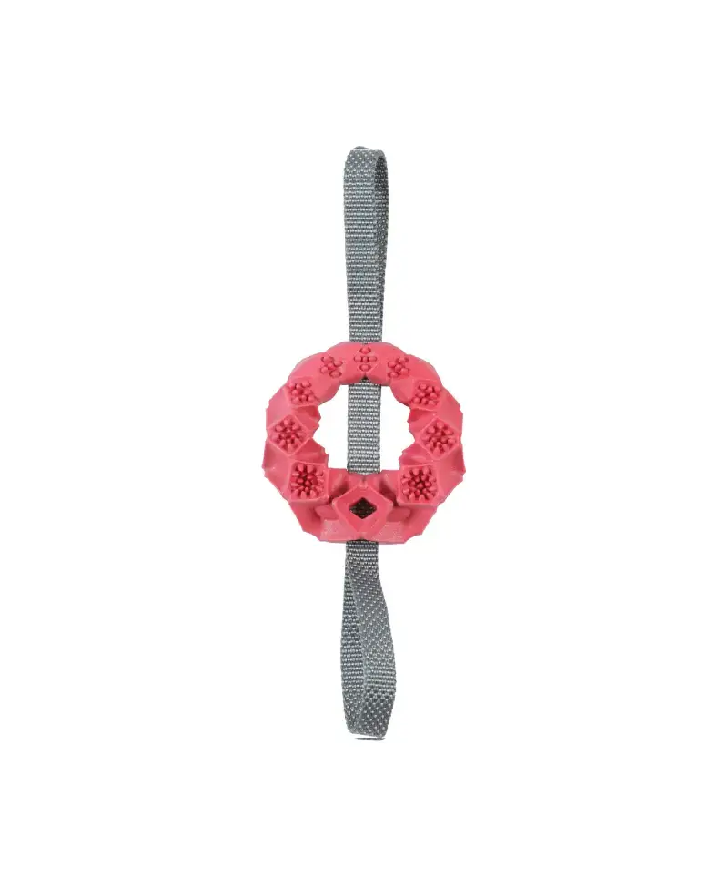 Zabawka dla psa pierścień TPR Outdoor kol.ceglasty