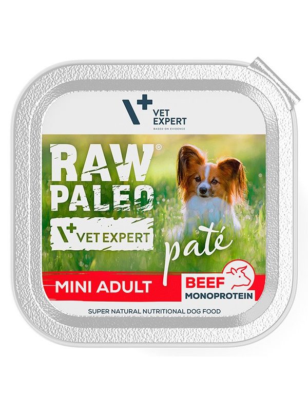 Raw Paleo Pate Mini Adult Beef 150g