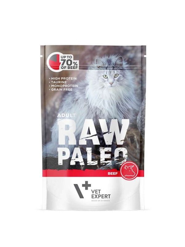 RAW PALEO ADULT CAT BEEF 100 G