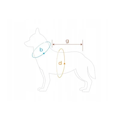 2ab1bb60c38a1e787159405bfcd7775e.webp amiplay Texas Bluza z kapturem 45 cm Chabrowa