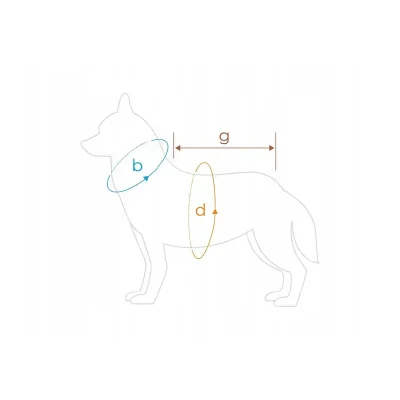 amiplay Texas Bluza z kapturem 40 cm Chabrowa