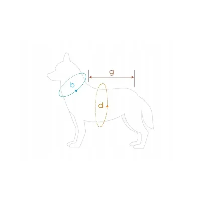 amiplay Texas Bluza z kapturem 45 cm Beżowa