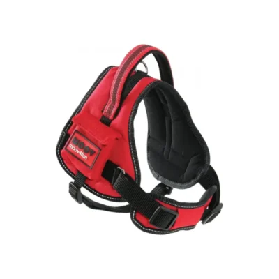 587d8a59ca36e5a6859b4aebf274365f