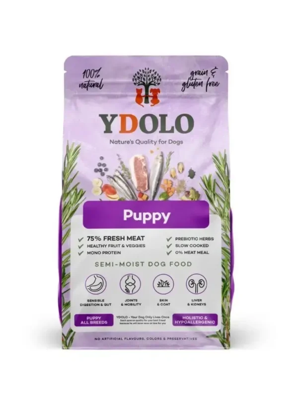 2b07ba078725afdb2af4cbda0f7572e2