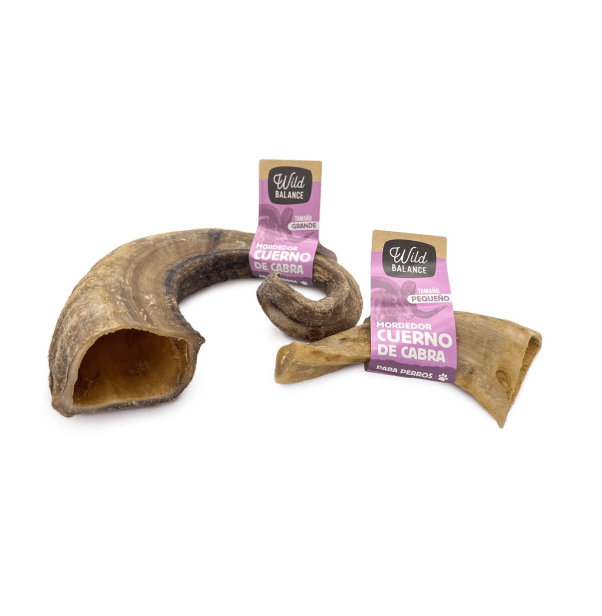 e48a72cb426eb6b8d572178f3f539d55