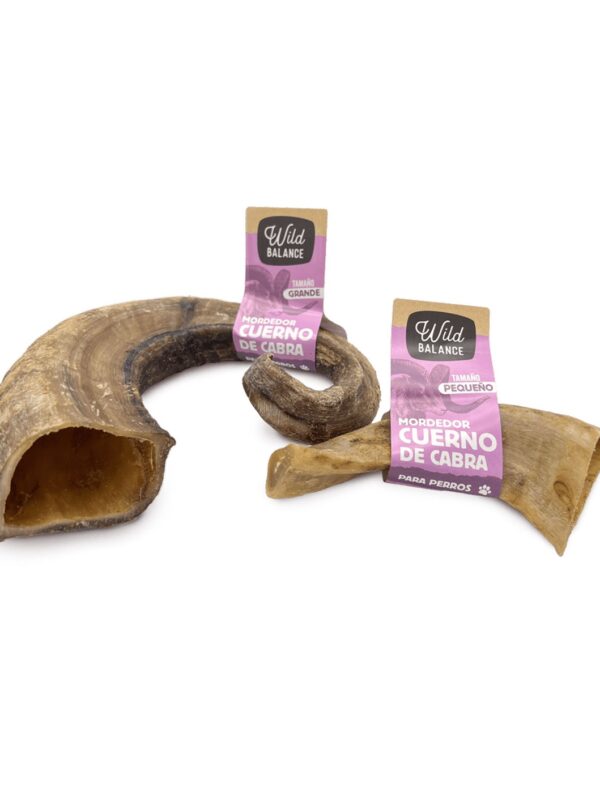 e48a72cb426eb6b8d572178f3f539d55