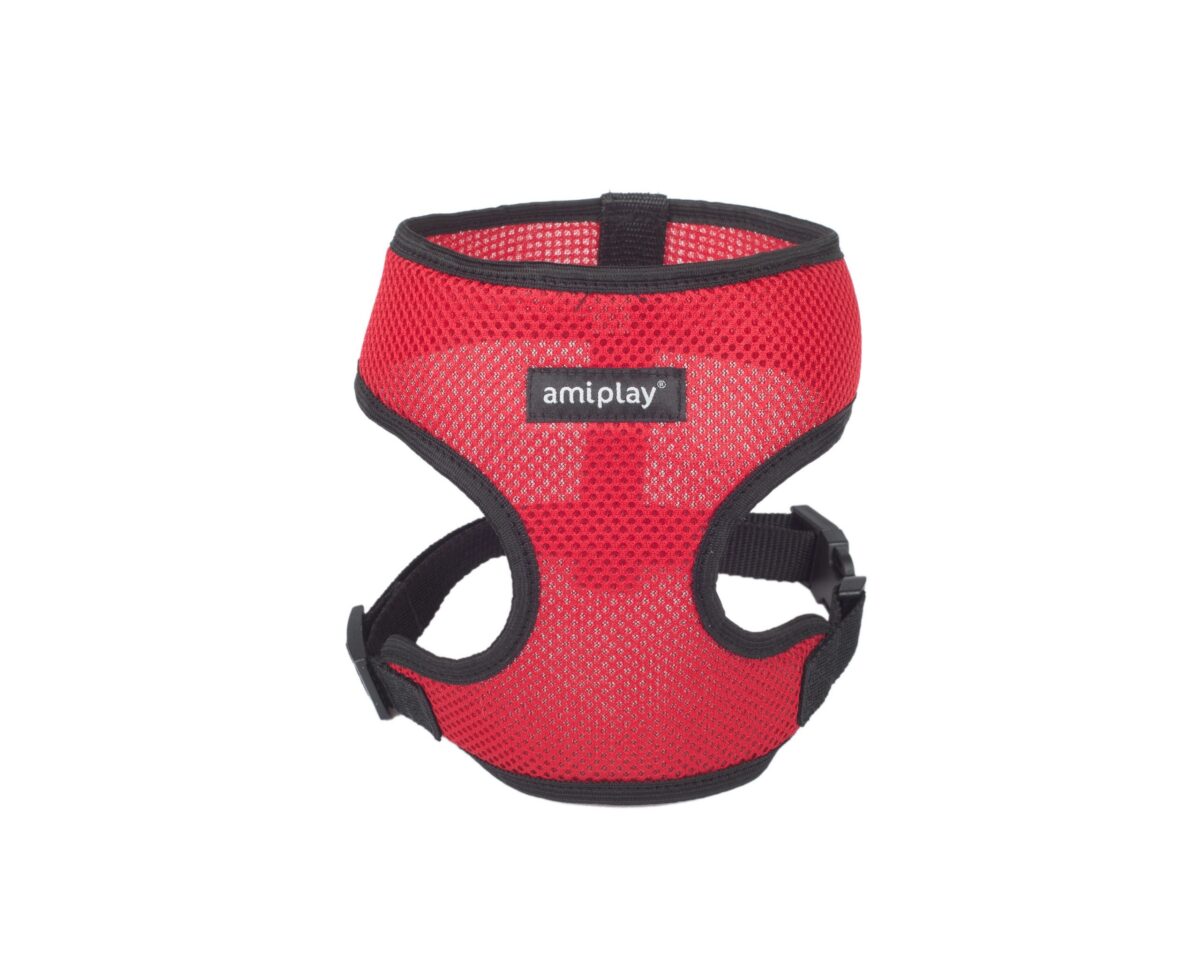 260fd894d3db42ae3a36828611ce667b